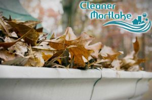 gutter-cleaners-mortlake